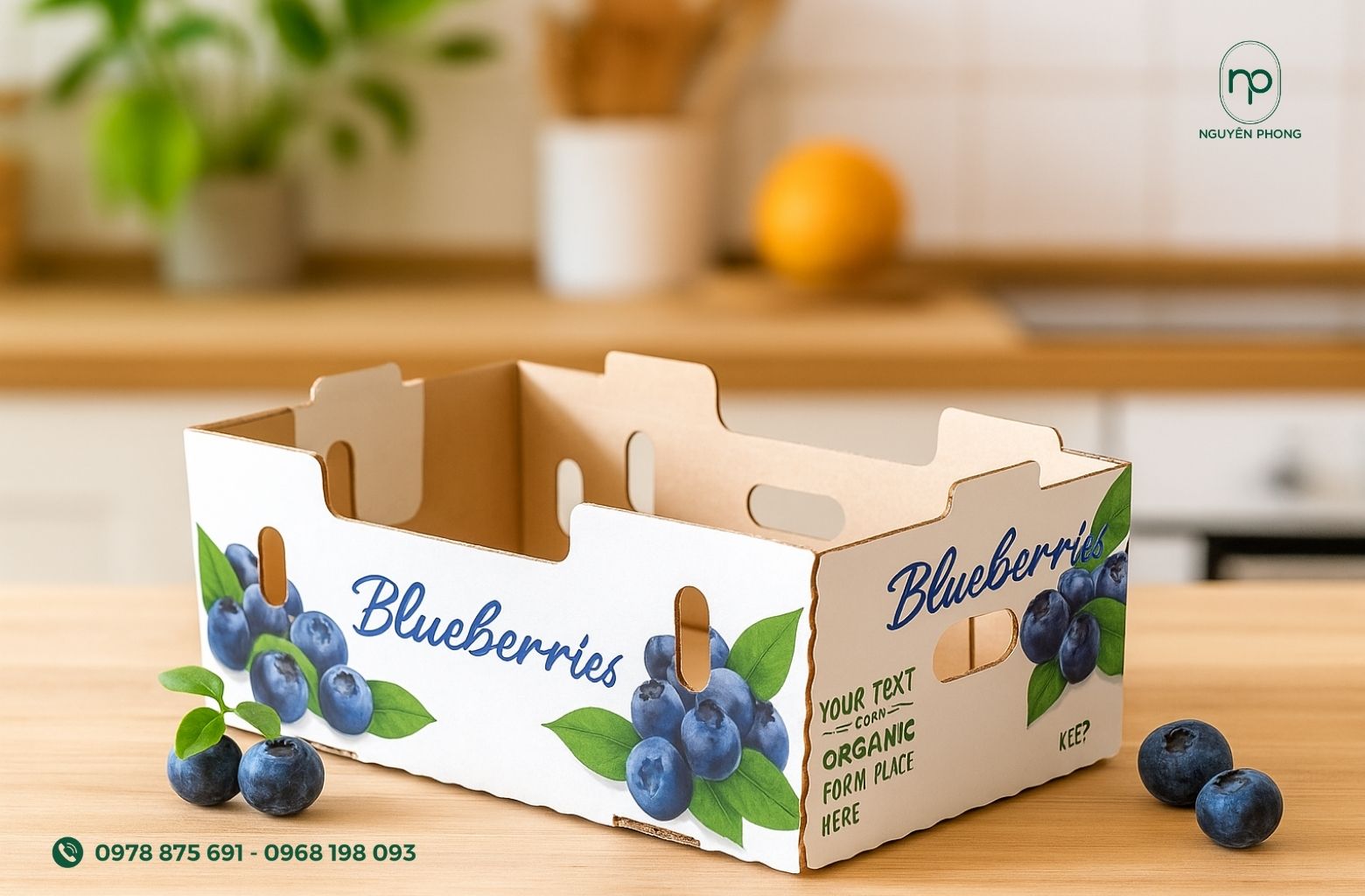 Kích thước thùng carton đựng việt quất 